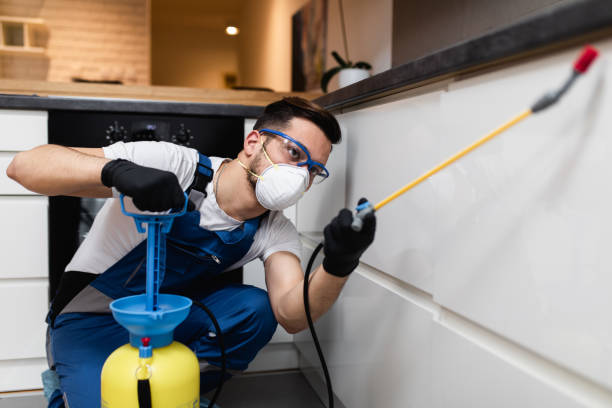 Pest Control for Restaurants in Grandview Heights, OH