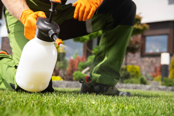 Best Mosquito Control Services  in Grandview Heights, OH