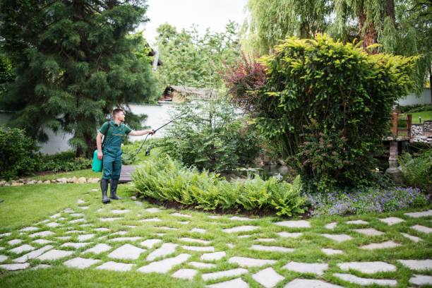Best Pest Prevention Services  in Grandview Heights, OH