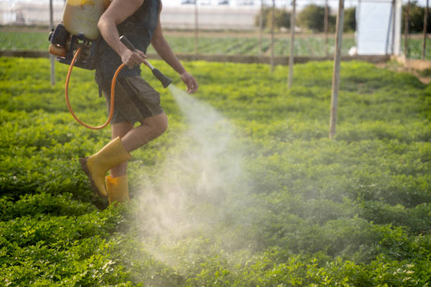Best Local Pest Control Services  in Grandview Heights, OH