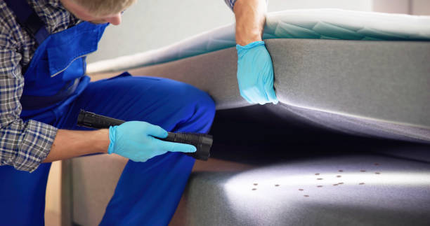 Best Commercial Pest Control Services  in Grandview Heights, OH