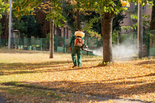 Best Flea Control Services  in Grandview Heights, OH