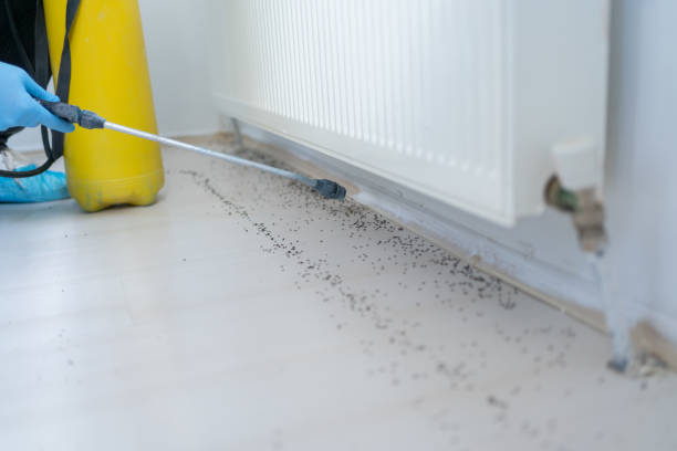 Best Cockroach Control Services  in Grandview Heights, OH