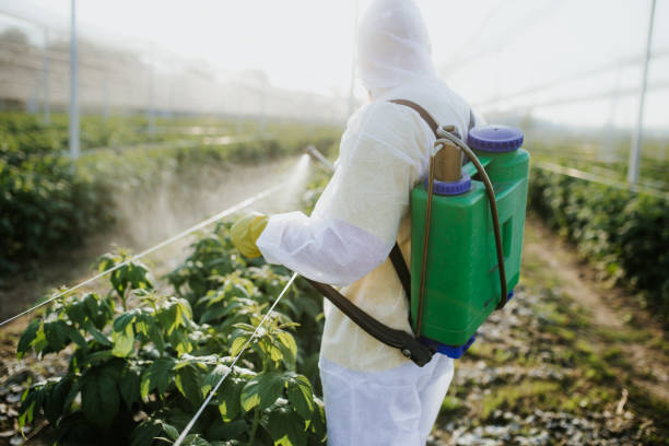 Best Pest Removal Services  in Grandview Heights, OH
